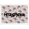 MR2 SPYDER