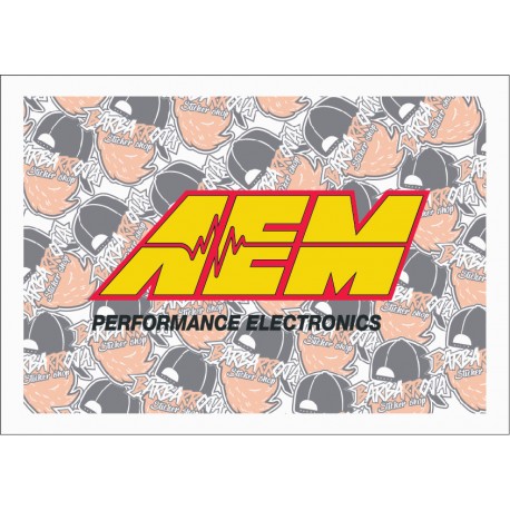 AEM PERFORMANCE ELECTRONICS