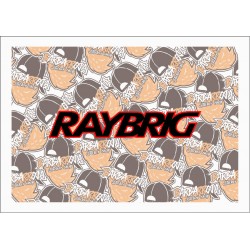 RAYBRIG