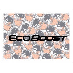 Eco Boost