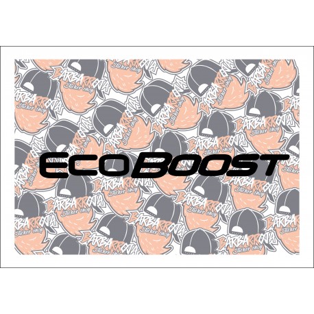 Eco Boost